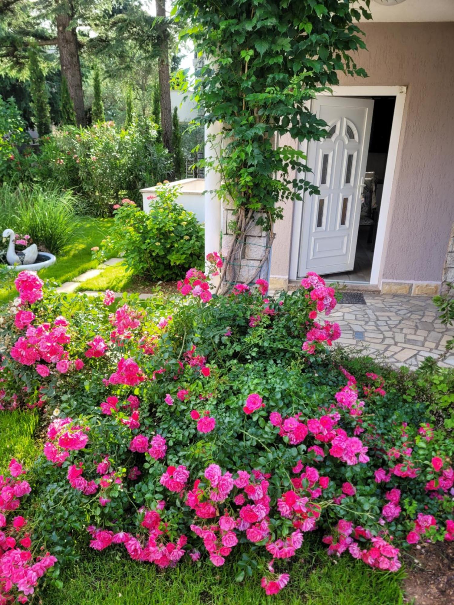 Katy Otel Krk Town Dış mekan fotoğraf